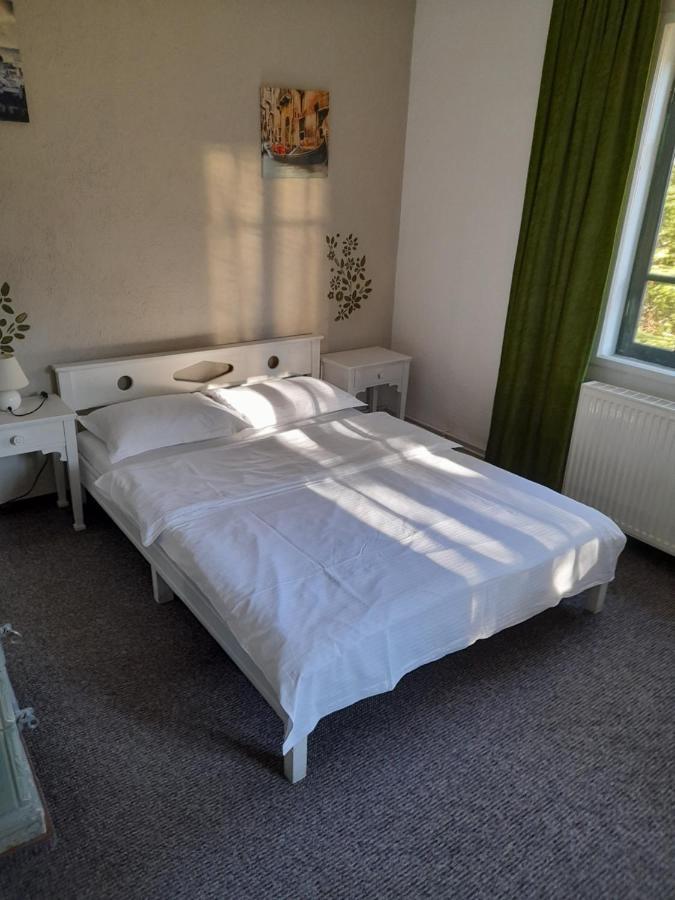 Casa Gabriela Villa Sinaia Buitenkant foto