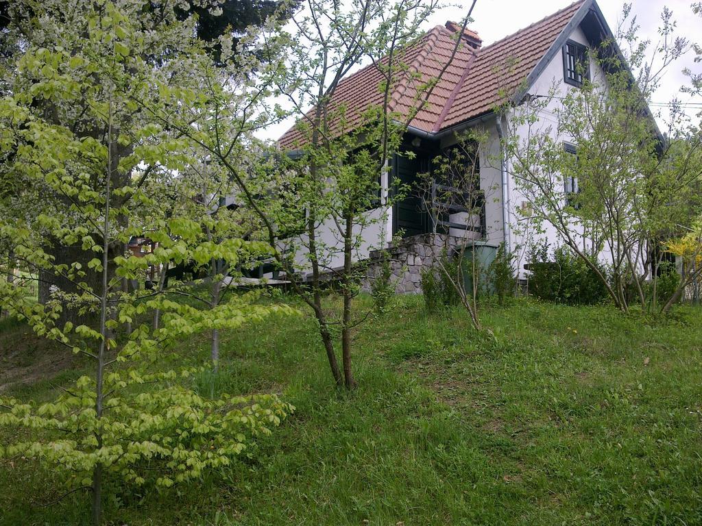 Casa Gabriela Villa Sinaia Kamer foto