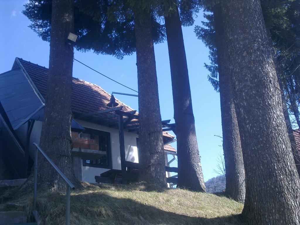 Casa Gabriela Villa Sinaia Kamer foto