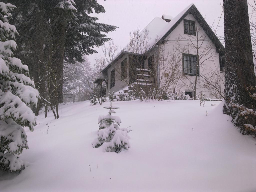 Casa Gabriela Villa Sinaia Kamer foto