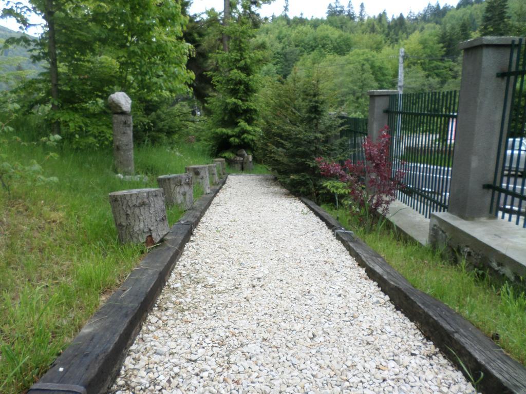Casa Gabriela Villa Sinaia Buitenkant foto